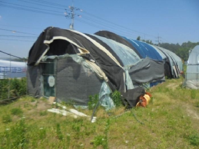 충주시 산척면 송강리 답 경매 물건 사진
