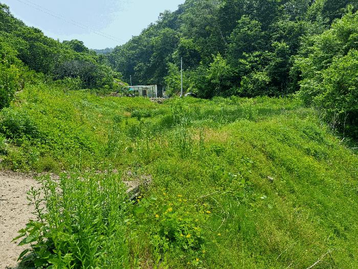 충주시 소태면 주치리 답 경매 물건 사진