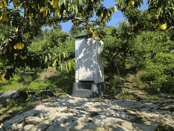 충주시 신니면 선당리 답 경매 물건 사진