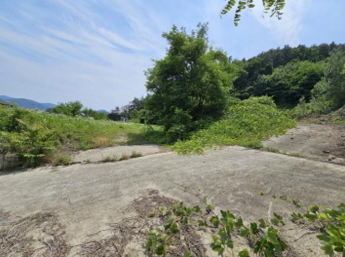 음성군 금왕읍 무극리 도로 경매 물건 사진