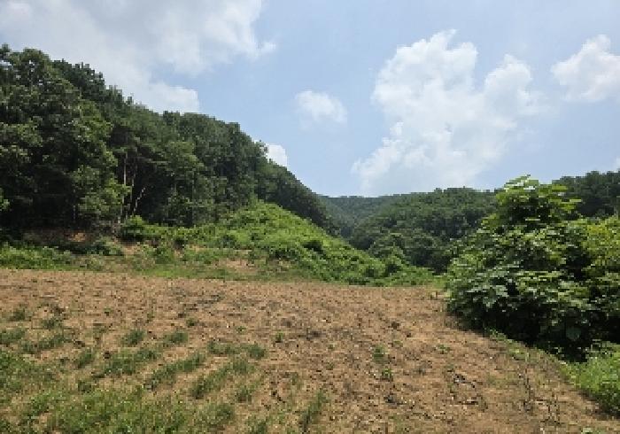 충주시 엄정면 괴동리 임야 경매 물건 사진