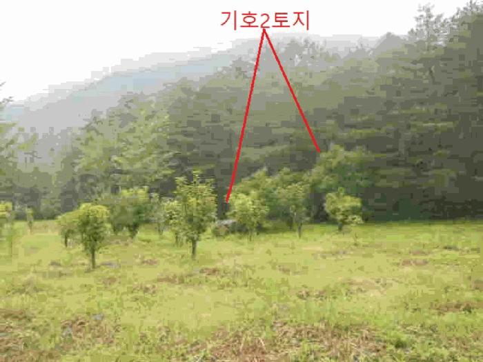 충주시 수안보면 미륵리 전 경매 물건 사진