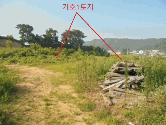 음성군 대소면 대풍리 전 경매 물건 사진