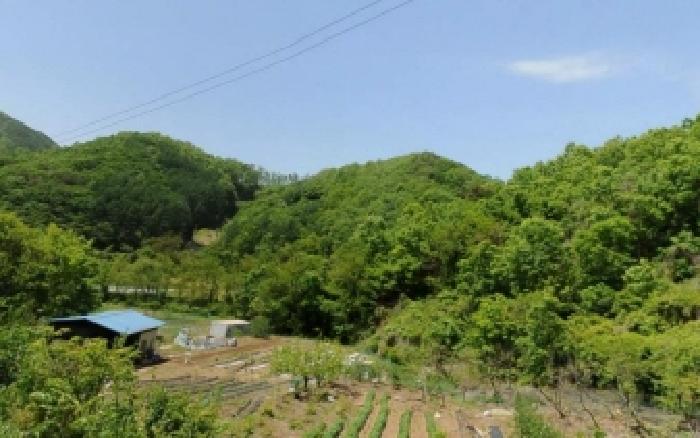 충주시 대소원면 탄용리 전 경매 물건 사진