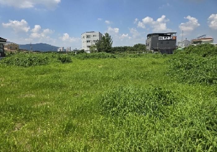 음성군 감곡면 오향리 답 경매 물건 사진
