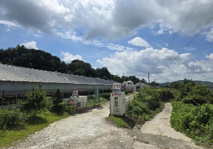 음성군 원남면 보룡리 단독주택 경매 물건 사진