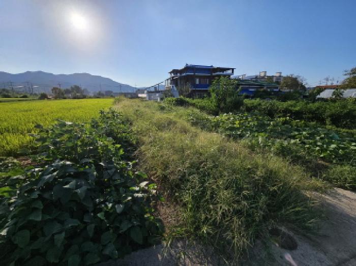 충주시 풍동 355-3 대지,임야,전답 경매 물건 사진
