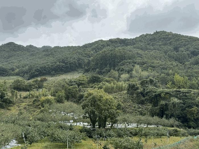 충주시 수안보면 사문리 전 경매 물건 사진