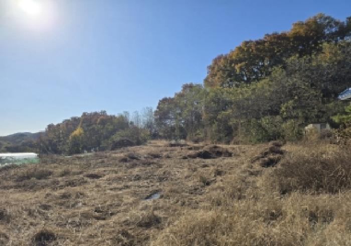 충주시 엄정면 신만리 전 경매 물건 사진