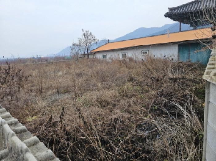 음성군 감곡면 주천리 대지 경매 물건 사진