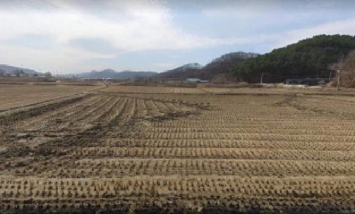 충주시 앙성면 단암리 전답 경매 물건 사진