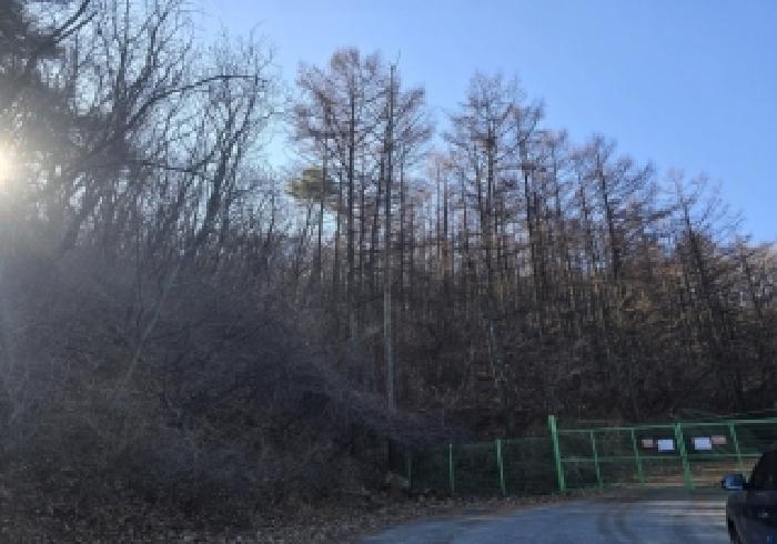 충주시 산척면 영덕리 임야 경매 물건 사진