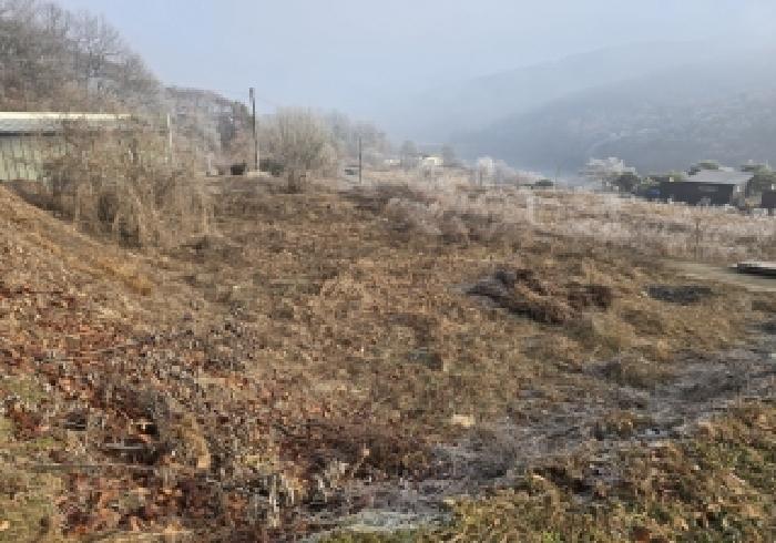 충주시 앙성면 목미리 도로 경매 물건 사진