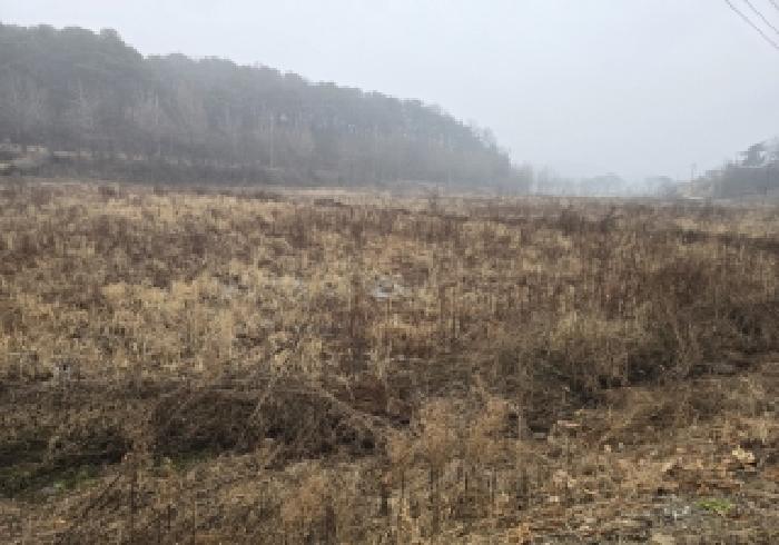 충주시 주덕읍 덕련리 임야 경매 물건 사진