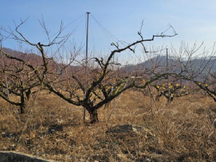 음성군 감곡면 영산리 전답 경매 물건 사진