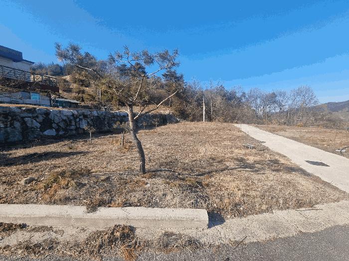 충주시 앙성면 조천리 임야 경매 물건 사진