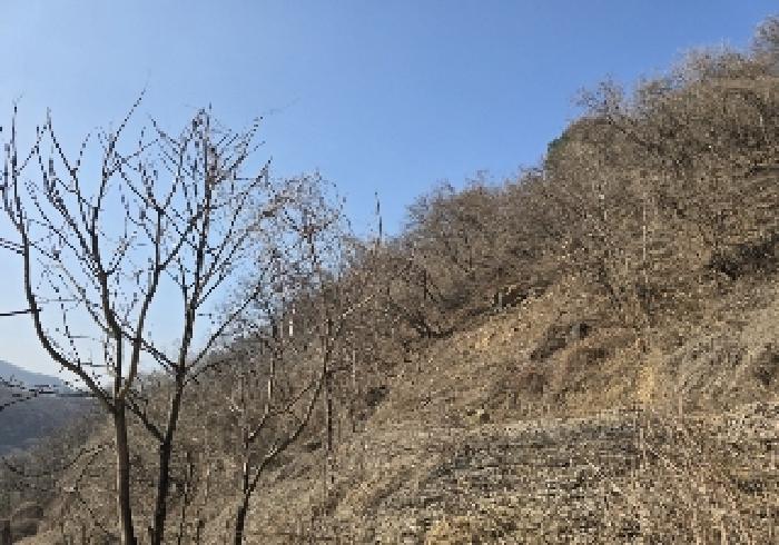 충주시 살미면 향산리 전 경매 물건 사진
