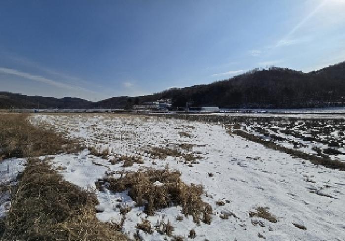음성군 원남면 조촌리 전답 경매 물건 사진