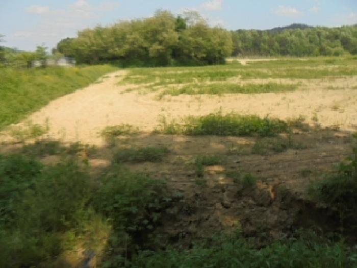 충주시 주덕읍 대곡리 전 경매 물건 사진