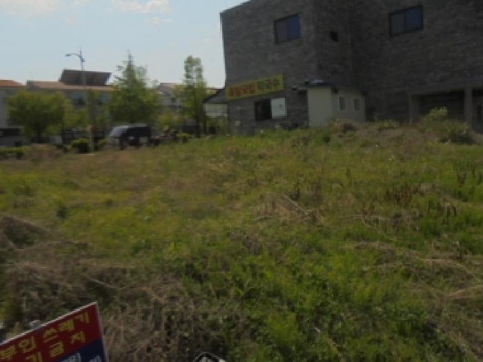 음성군 맹동면 두성리 대지 경매 물건 사진