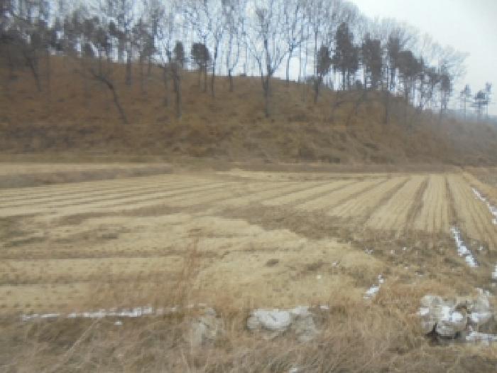 충주시 신니면 문락리 대지,임야,전답 경매 물건 사진