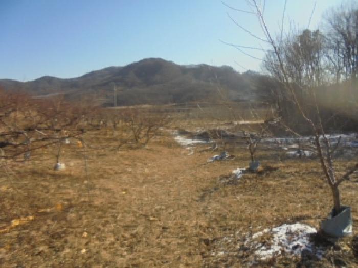 충주시 주덕읍 삼청리 동물및식물관련시설 경매 물건 사진
