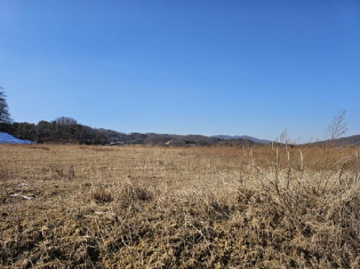 음성군 음성읍 신천리 전답 경매 물건 사진