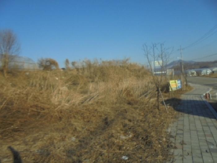 충주시 금가면 잠병리 전답 경매 물건 사진