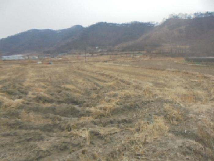 음성군 원남면 덕정리 전답 경매 물건 사진