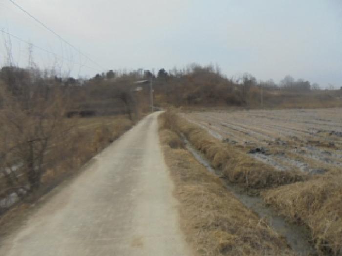 충주시 금가면 도촌리 전답 경매 물건 사진