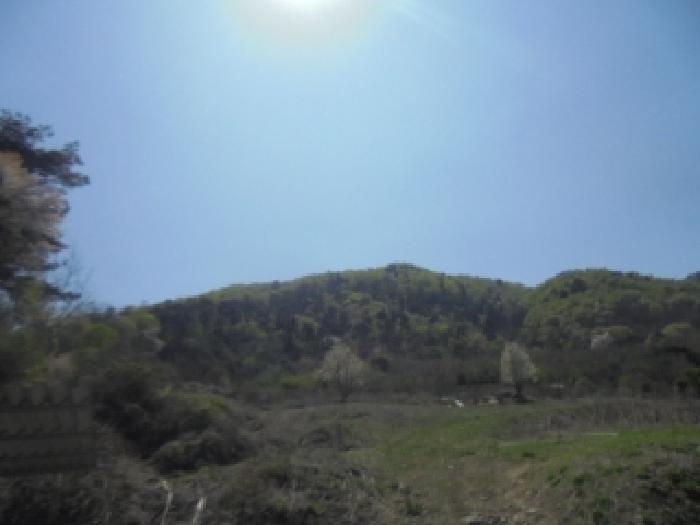 음성군 소이면 충도리 임야 경매 물건 사진