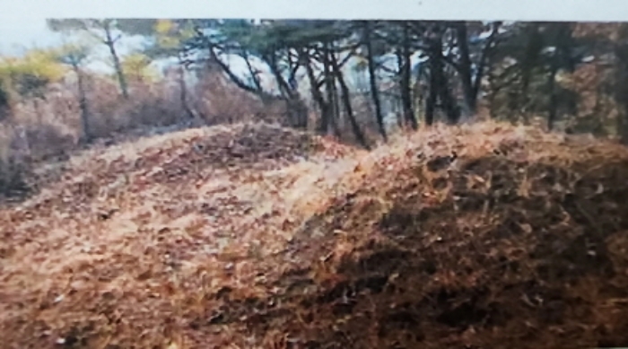 제천시 수산면 구곡리 임야 경매 물건 사진