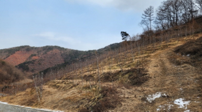 제천시 청풍면 연론리 전 경매 물건 사진