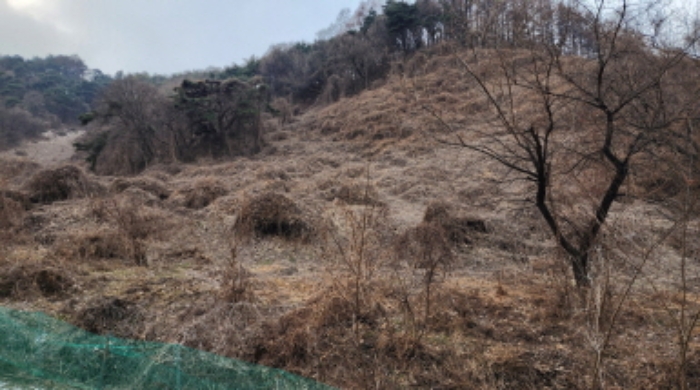 제천시 수산면 대전리 전 경매 물건 사진