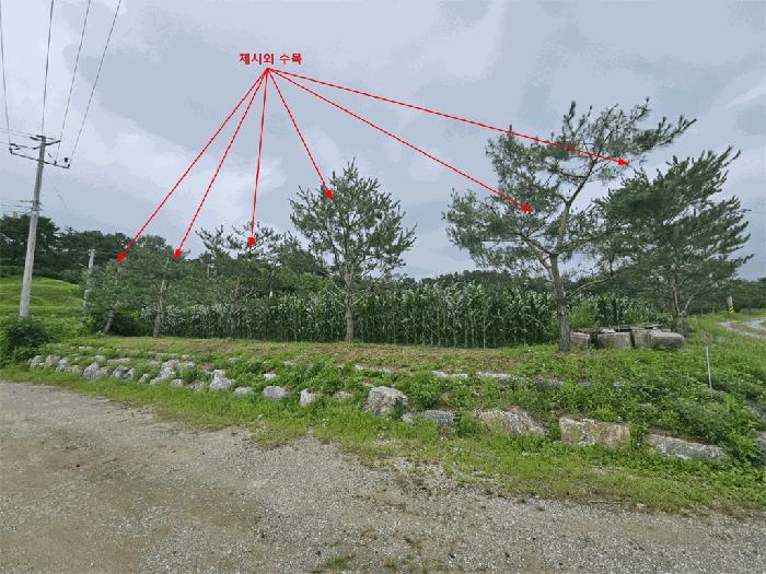 제천시 고명동 464-3 답 경매 물건 사진