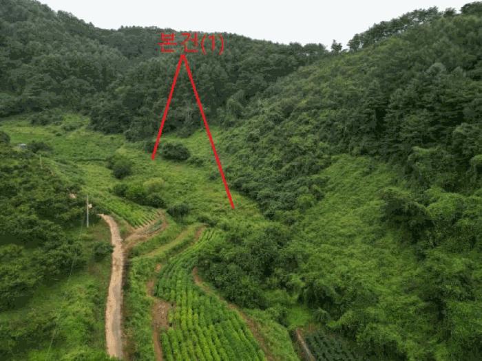 제천시 금성면 대장리 전 경매 물건 사진