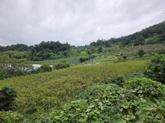 제천시 송학면 시곡리 전 경매 물건 사진