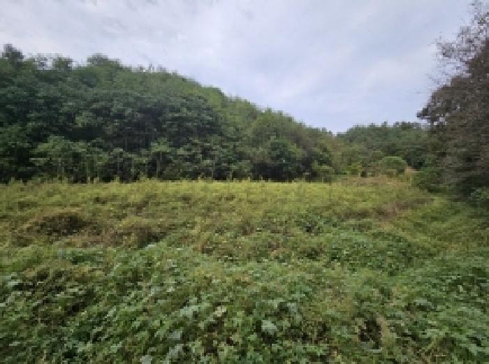 제천시 장락동 2 전 경매 물건 사진