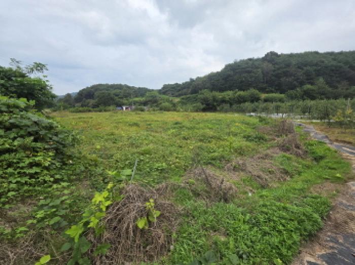 제천시 산곡동 602 답 경매 물건 사진