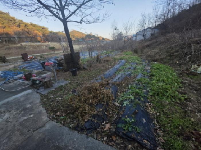 제천시 송학면 포전리 전 경매 물건 사진