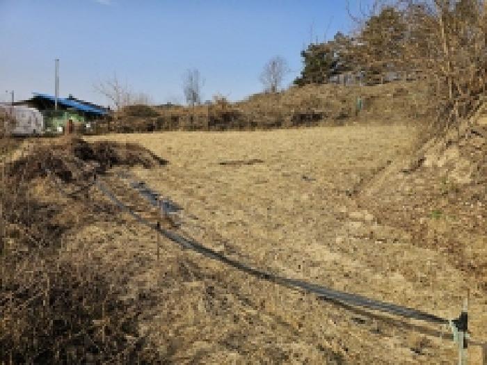 제천시 고명동 195 전 경매 물건 사진