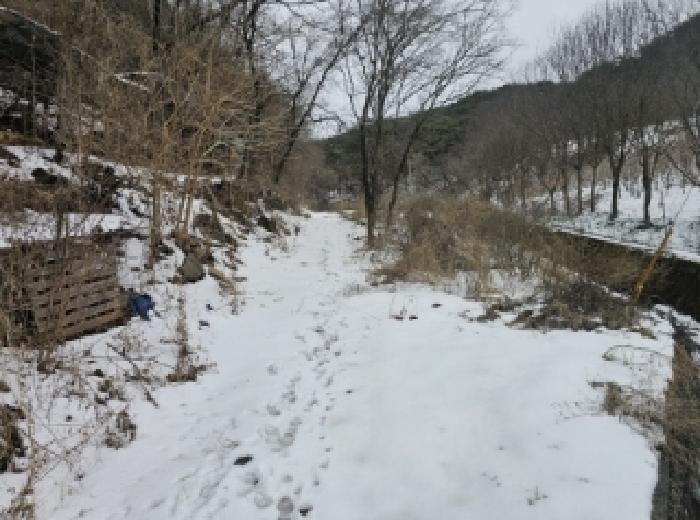 단양군 가곡면 여천리 전 경매 물건 사진