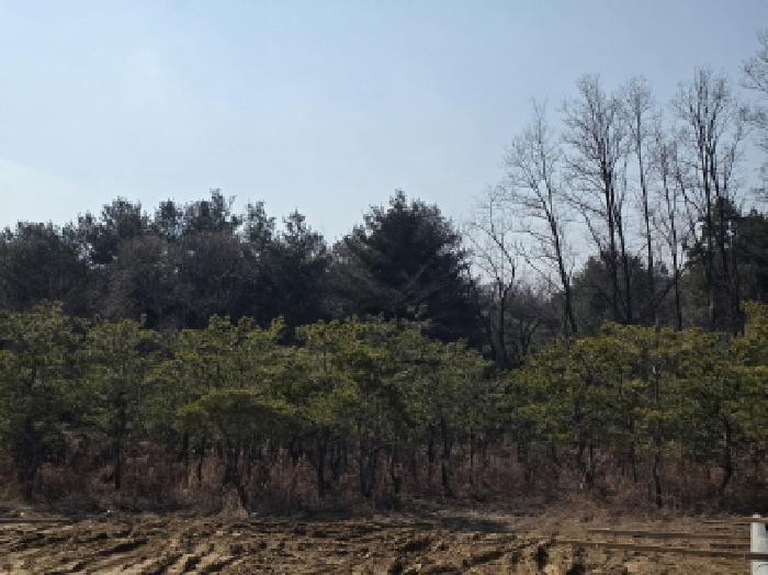 제천시 고암동 905 대지,임야,전답 경매 물건 사진