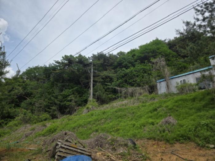 제천시 금성면 대장리 공장/지식산업센터 경매 물건 사진