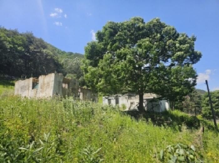 단양군 단성면 가산리 대지 경매 물건 사진