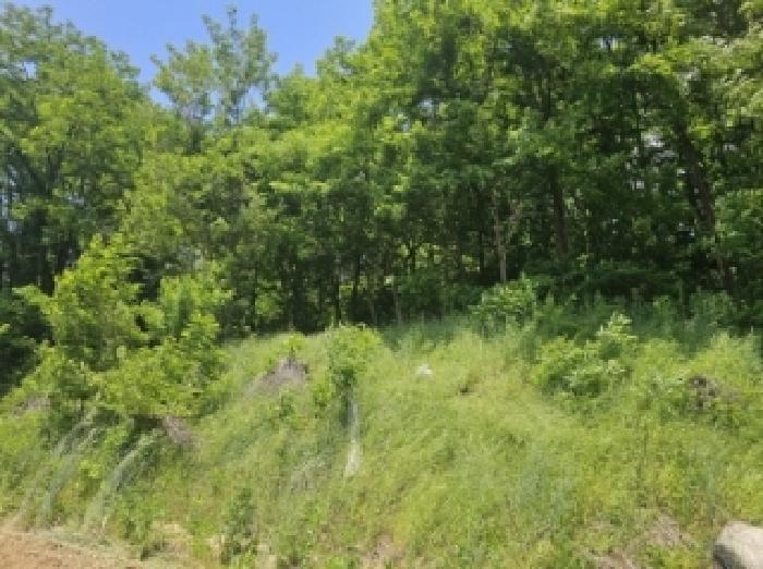 제천시 흑석동 156-10 임야 경매 물건 사진