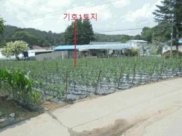 제천시 백운면 평동리 대지 경매 물건 사진