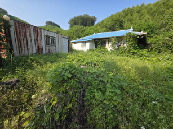 제천시 금성면 활산리 대지 경매 물건 사진