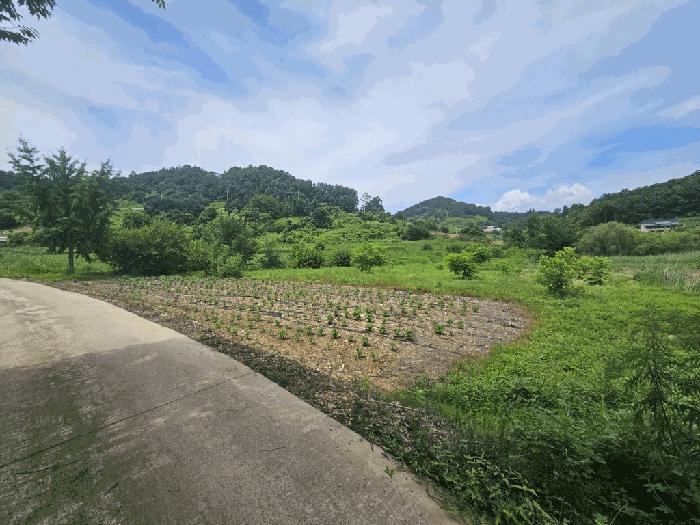 제천시 수산면 내리 전 경매 물건 사진