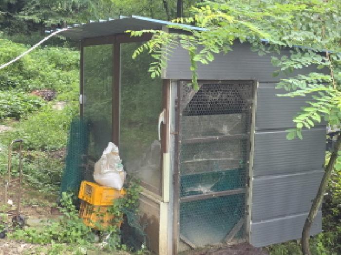 제천시 백운면 원월리 단독주택 경매 물건 사진